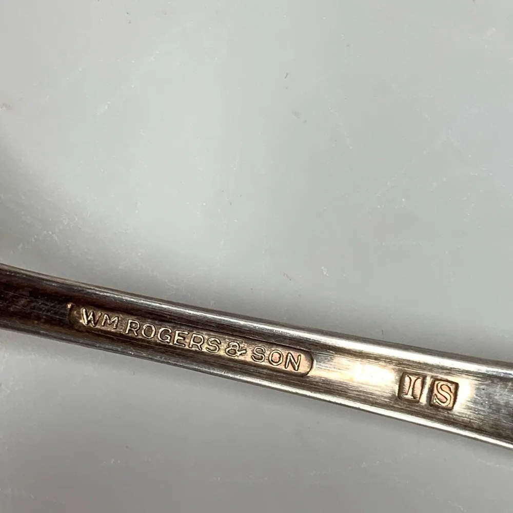 Wm Rogers & Son Spring Flower cake/pie server